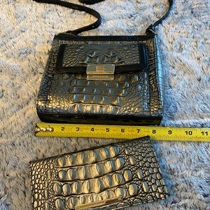 Brahmin bag & wallet